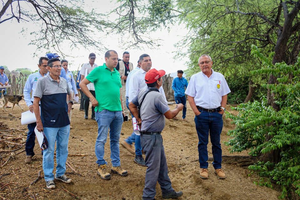 campo