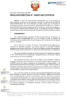 Vista preliminar de documento RD Nº D000001-2024-DE