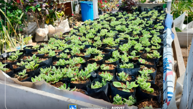  ¡Repotenciando el vivero Municipal para embellecer nuestro San Bartolo! 