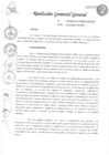 Vista preliminar de documento 2009 DIRECTIVA de Organizacion  de Documentos Archivisticos