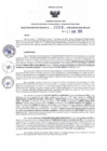 Vista preliminar de documento RDR N° 009-2023-11-01-2024