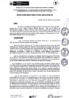 Vista preliminar de documento rd04-2024