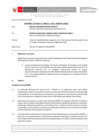 Vista preliminar de documento Informe Técnico 0273-2022-SERVIR-GPGSC