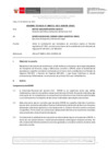 Vista preliminar de documento Informe Técnico 0253-2022-SERVIR-GPGSC