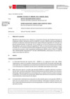 Vista preliminar de documento Informe Técnico 0190-2022-SERVIR-GPGSC