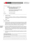 Vista preliminar de documento Informe Técnico 0175-2022-SERVIR-GPGSC