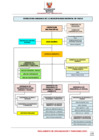 Vista preliminar de documento ORGANIGRAMA