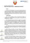 Vista preliminar de documento RD Nº D000002-2024-DE