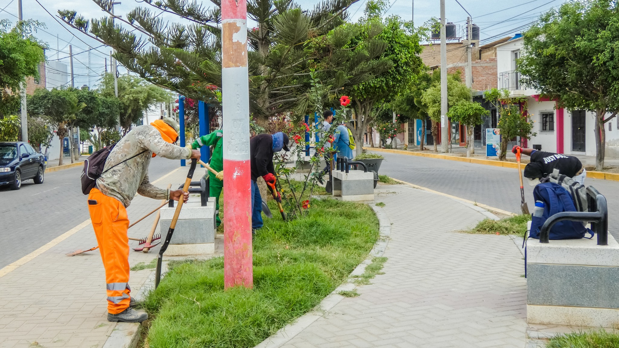 La Municipalidad Distrital El Alto que preside el alcalde 𝐒𝐑. 𝐑𝐄𝐄𝐃𝐘 𝐁𝐀𝐍𝐂𝐀𝐘𝐀𝐍 𝐏𝐀𝐋𝐎𝐌𝐈𝐍𝐎 con el fin de mantener el ornato público de nuestro distrito, realiza de manera constante trabajos de mantenimiento de nuestras áreas verdes.