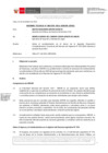 Vista preliminar de documento Informe Técnico 2378-2021-SERVIR-GPGSC