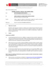 Vista preliminar de documento Informe Técnico 2357-2021-SERVIR-GPGSC