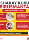Vista preliminar de documento Afiche de prevención general