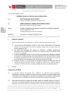 Vista preliminar de documento Informe Técnico 2218-2021-SERVIR-GPGSC