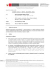 Vista preliminar de documento Informe Técnico 2041-2021-SERVIR-GPGSC