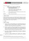 Vista preliminar de documento Informe Técnico 2040-2021-SERVIR-GPGSC