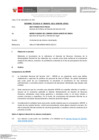 Vista preliminar de documento Informe Técnico 1878-2021-SERVIR-GPGSC