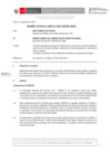 Vista preliminar de documento Informe Técnico 1757-2021-SERVIR-GPGSC