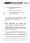 Vista preliminar de documento Informe Técnico 1754-2021-SERVIR-GPGSC