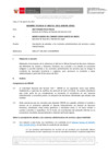 Vista preliminar de documento Informe Técnico 1733-2021-SERVIR-GPGSC