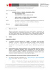 Vista preliminar de documento Informe Técnico 1729-2021-SERVIR-GPGSC