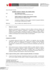Vista preliminar de documento Informe Técnico 1691-2021-SERVIR-GPGSC