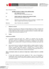 Vista preliminar de documento Informe Técnico 1653-2021-SERVIR-GPGSC