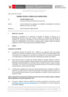 Vista preliminar de documento Informe Técnico 0178-2021-SERVIR-GPGSC