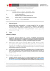 Vista preliminar de documento Informe Técnico 0173-2021-SERVIR-GPGSC
