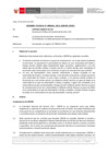 Vista preliminar de documento Informe Técnico 0166-2021-SERVIR-GPGSC