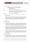 Vista preliminar de documento Informe Técnico 0154-2021-SERVIR-GPGSC
