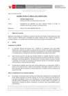 Vista preliminar de documento Informe Técnico 0121-2021-SERVIR-GPGSC