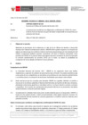 Vista preliminar de documento Informe Técnico 0103-2021-SERVIR-GPGSC