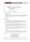 Vista preliminar de documento Informe Técnico 0100-2021-SERVIR-GPGSC