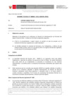 Vista preliminar de documento Informe Técnico 0092-2021-SERVIR-GPGSC