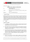 Vista preliminar de documento Informe Técnico 0065-2021-SERVIR-GPGSC