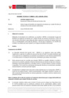 Vista preliminar de documento Informe Técnico 0055-2021-SERVIR-GPGSC