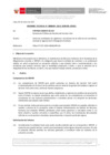 Vista preliminar de documento Informe Técnico 0049-2021-SERVIR-GPGSC