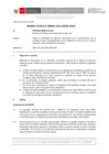 Vista preliminar de documento Informe Técnico 0038-2021-SERVIR-GPGSC