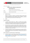 Vista preliminar de documento Informe Técnico 0031-2021-SERVIR-GPGSC