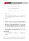 Vista preliminar de documento Informe Técnico 0029-2021-SERVIR-GPGSC