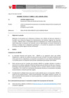Vista preliminar de documento Informe Técnico 0022-2021-SERVIR-GPGSC
