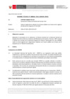 Vista preliminar de documento Informe Técnico 0016-2021-SERVIR-GPGSC