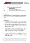 Vista preliminar de documento Informe Técnico 0006-2021-SERVIR-GPGSC