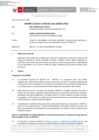 Vista preliminar de documento Informe Técnico 1318-2021-SERVIR-GPGSC