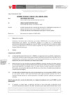 Vista preliminar de documento Informe Técnico 1267-2021-SERVIR-GPGSC