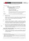 Vista preliminar de documento Informe Técnico 1190-2021-SERVIR-GPGSC