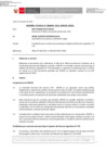 Vista preliminar de documento Informe Técnico 1069-2021-SERVIR-GPGSC