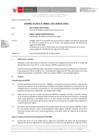 Vista preliminar de documento Informe Técnico 0835-2021-SERVIR-GPGSC