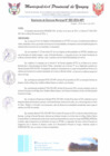 Vista preliminar de documento RGM0003-2024