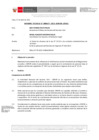 Vista preliminar de documento Informe Técnico 0677-2021-SERVIR-GPGSC